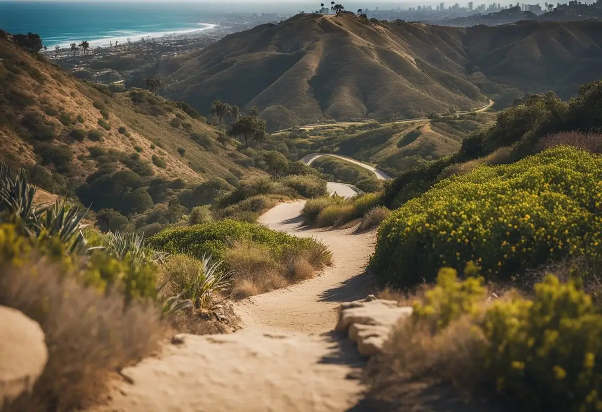 La Jolla Hiking Trail: A Friendly Guide For Explorers 2024